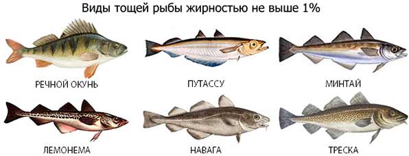 Какая Рыба При Диете 5