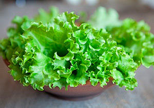 листовой салат при панкреатите