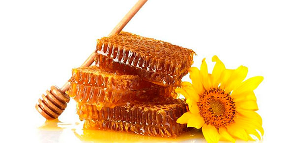 мед при панкреатите