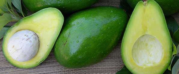 плоды авокадо
