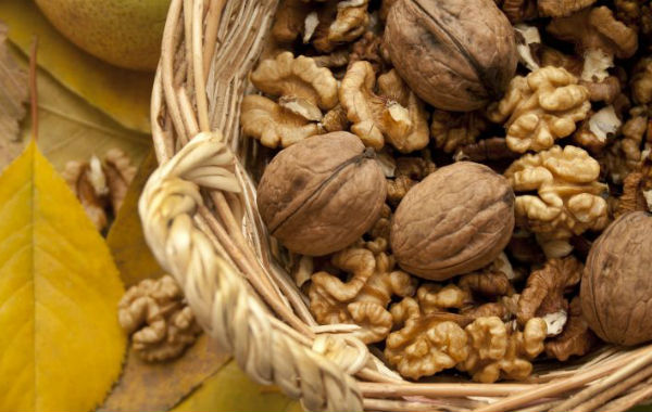 Грецкие орехи при панкреатите поджелудочной железы